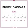 Black Baccara Mix Boxen